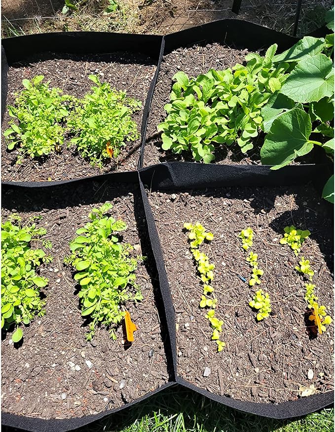 CJGQ Fabric Raised Garden Bed, 128 Gallon 8 Grids Plant Grow Bags, 3x6FT - Image 6