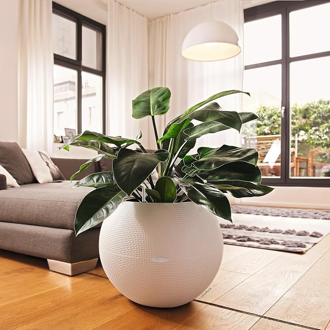 Lechuza Puro Color 50 White, Self-Watering Large Round Planter, D19.7 H15.4 in - Image 7
