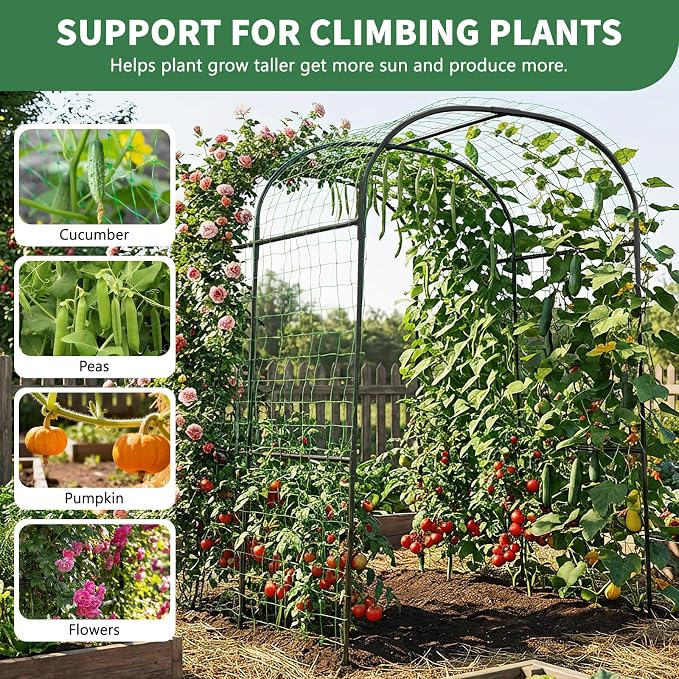 Tall Garden Arch Trellis for Climbing Plants, 83in Tall Metal Plant Support - Image 4