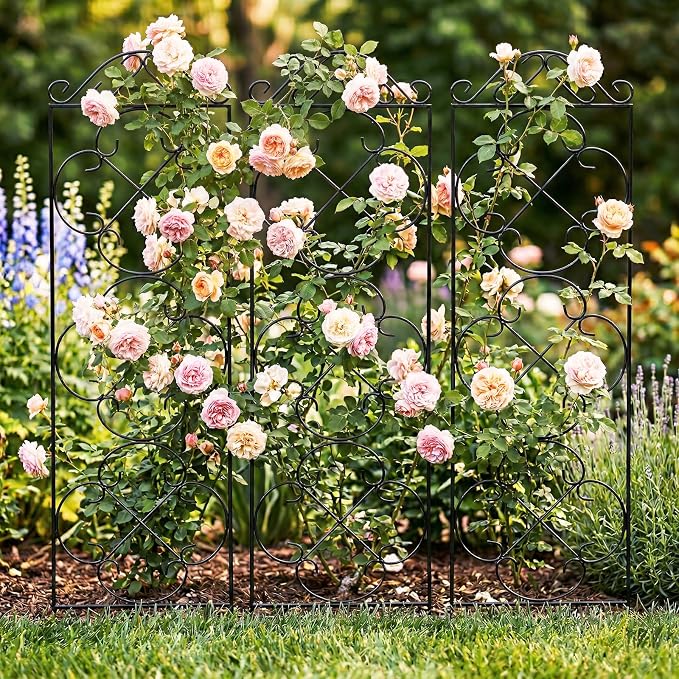 Garden Trellis 4 Pack 56'' H x 13.8'' W Metal Plant Climbing Trellis Suitable - Image 6