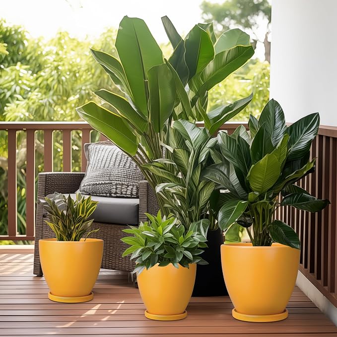 10 Inch Plant Pot - Image 7