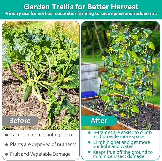 2Packs 17 x 42 Inch Garden Trellis - Image 6