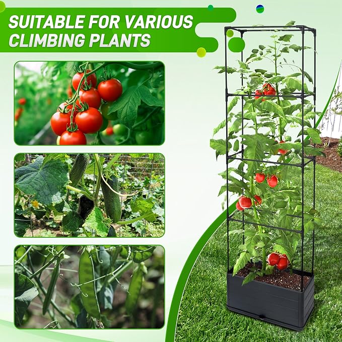 2 Packs Raised Garden Bed Tomato Planter Box - Image 6