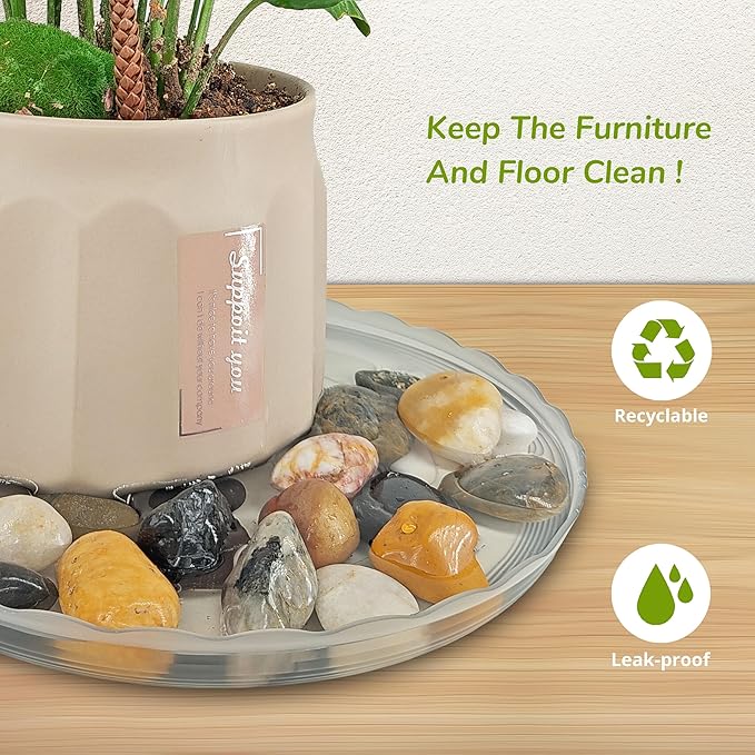 12Pcs Clear Plant Saucer, 6 8 10 Inch Durable Plastic Plant Tray, Round Plant - Image 3