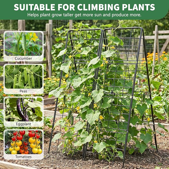 2 Pack Cucumber Trellis, Climbing Plants and Flowers - Image 2