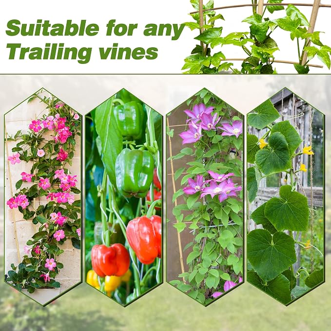 Avalution 10 Pack Bamboo Trellis - Image 6