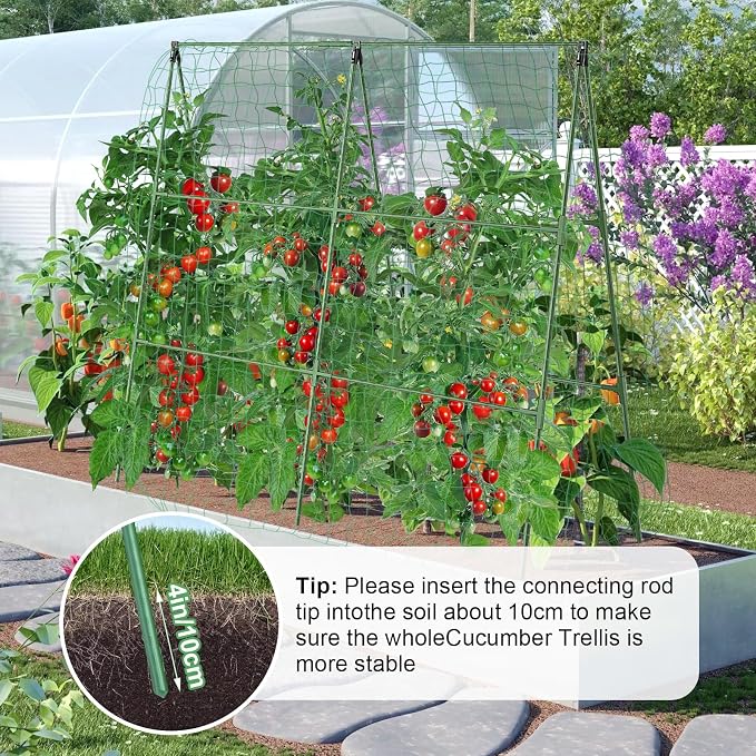 55" H x 36" W Cucumber Trellis for Raised Bed Garden, Cucumber Trelli for - Image 3