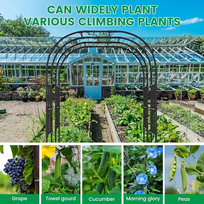 SUNYRISY Outdoor Garden Arch Trellis, Plant Support - Image 7