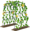 Miory Garden Arch Trellis for Climbing Plants Outdoor, Metal Plants Support by Miory