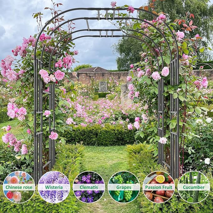 Garden Arch Trellis for Climbing Plants - Image 7