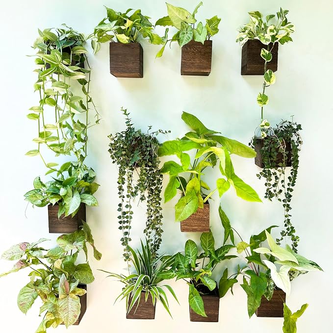 LaLaGreen Indoor Planter Box for Plants Small Square Wooden Wall Mounted by L%C3%A1L%C3%A1Green