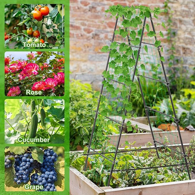 Garden Trellis for Climbing Plants, - Image 3