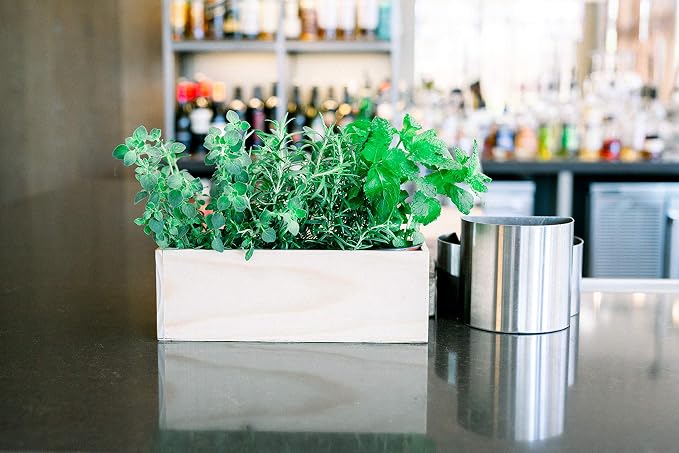 Wooden Planter Box, Rose Wood, Plastic Liner l Garden Decor l Restaurant and - Image 5