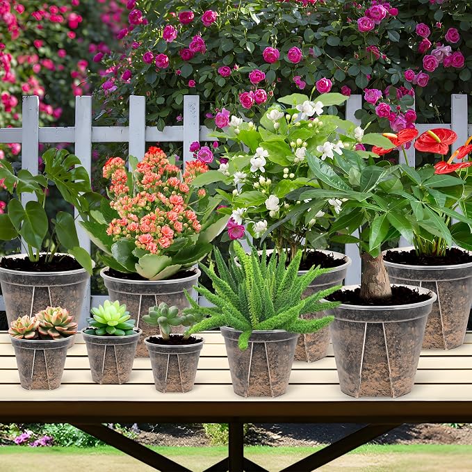 5 Set 7 Inch Transparent Plastic Garden Pots - Image 7