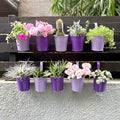 LaLaGreen Hanging Planter Outdoor by L%C3%A1L%C3%A1Green