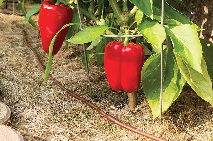Rain Bird GARDENKIT Drip Irrigation Raised Bed Garden Watering Kit - Image 8