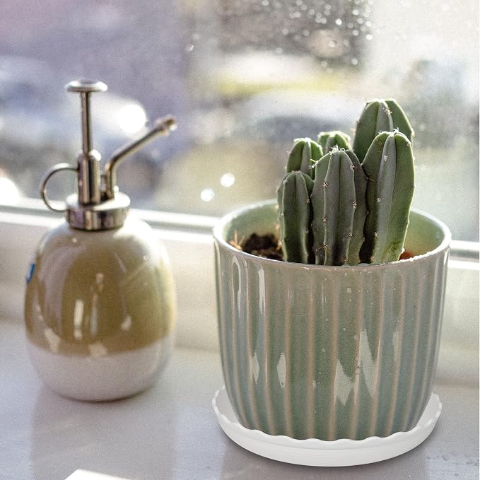 Plant Saucer, 7 Pack 8 10 12 14 15 Inch Durable Plastic Plant Trays - Image 7